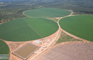 Fazenda para venda em Buritizeiro